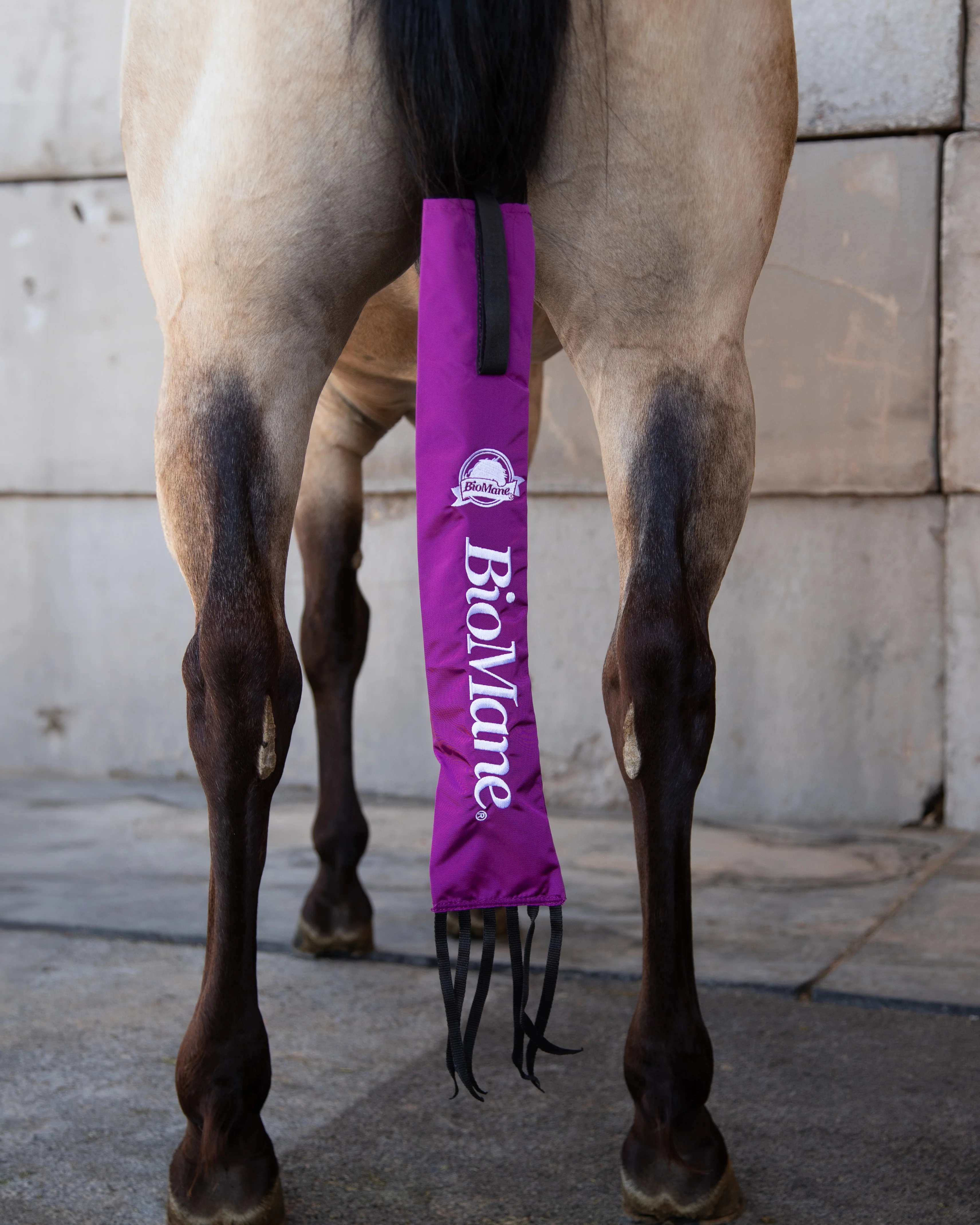Tailbag - Image 19